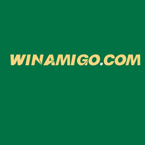 Logo da WINAMIGO